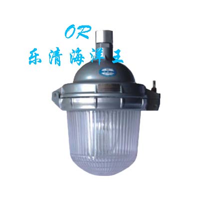 海洋王 NFC9112防眩泛光灯